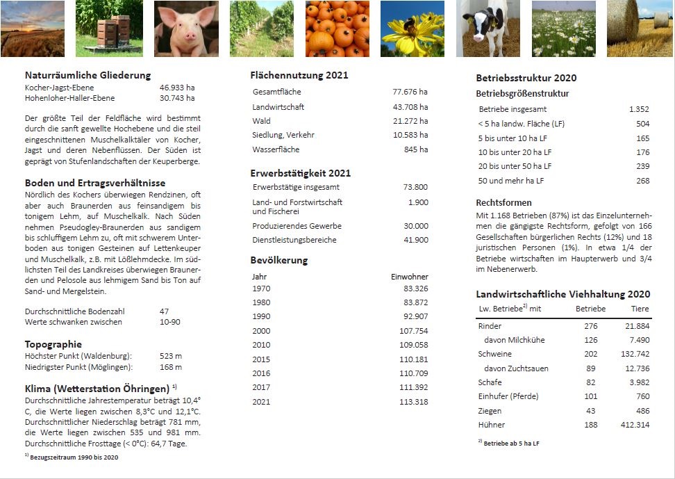 Flyer Landwirtschaft im Hohenlohekreis auf einen Blick