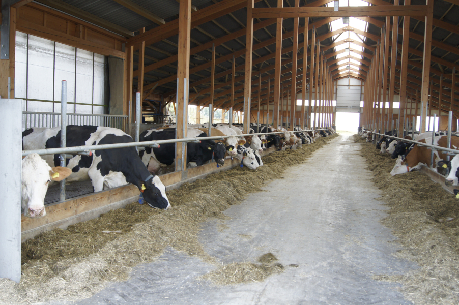 Betrieb Beck bei Weikersheim