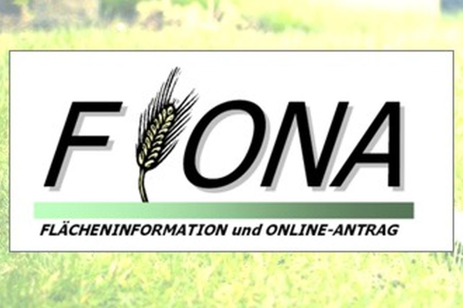 Logo Fiona